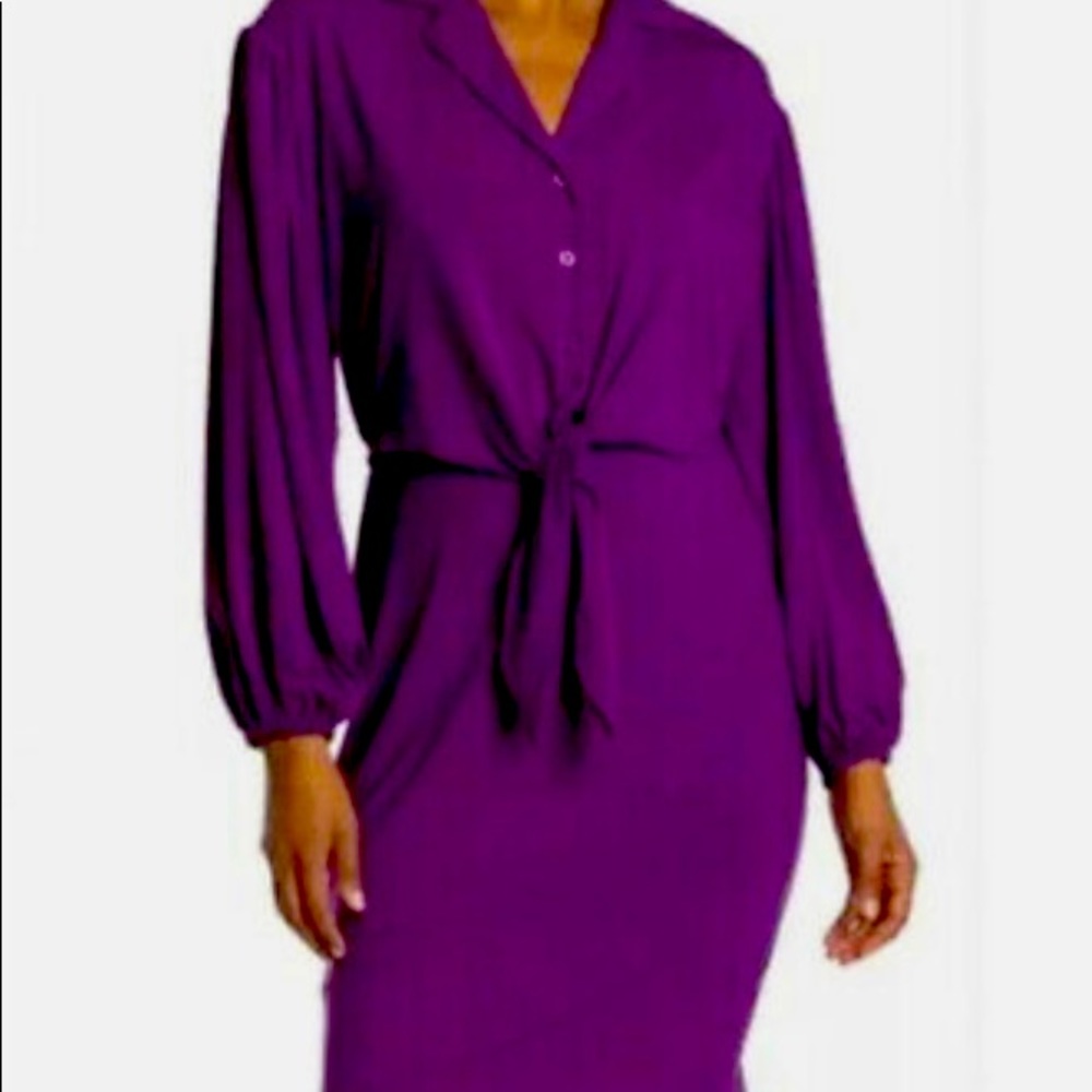 COPY - Calvin Klein Dress